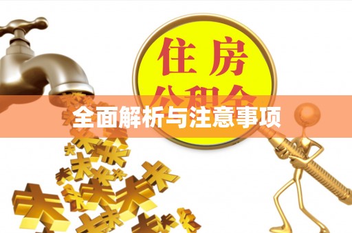 丰南全面解析与注意事项