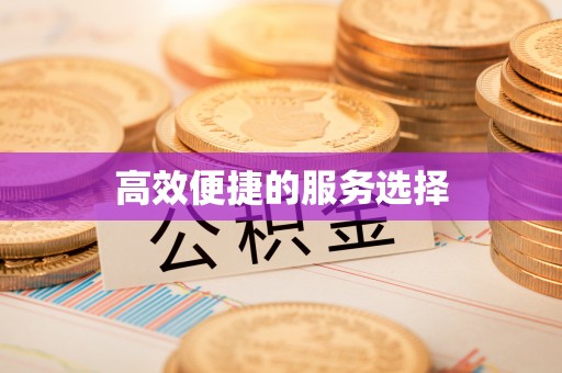 丰南高效便捷的服务选择