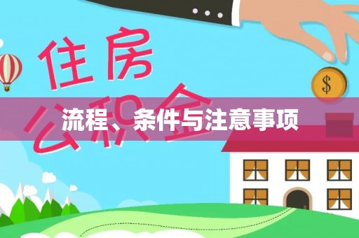 丰南流程、条件与注意事项