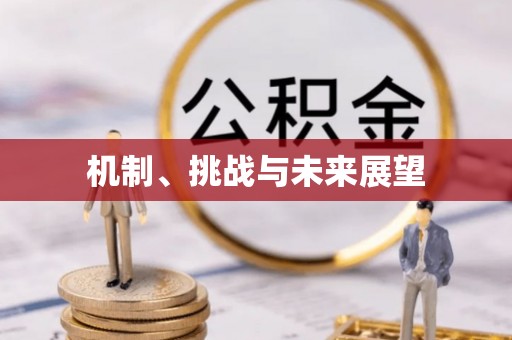 丰南机制、挑战与未来展望